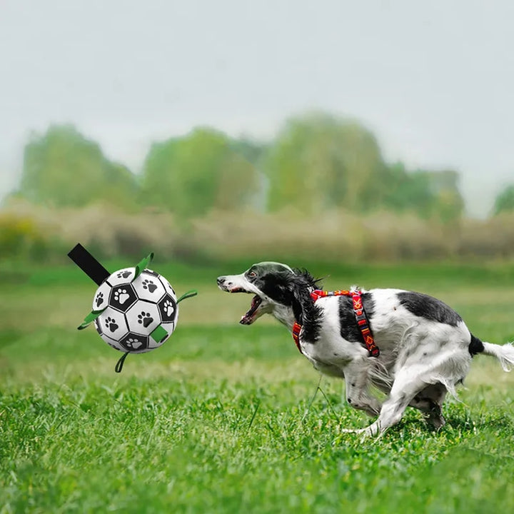 Muddy Paw Friends Interactive Soccer Toy for Dog