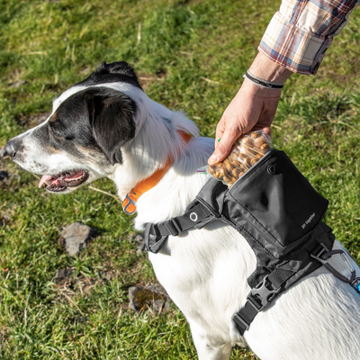 Kurgo Stash n' Dash Harness For Dogs