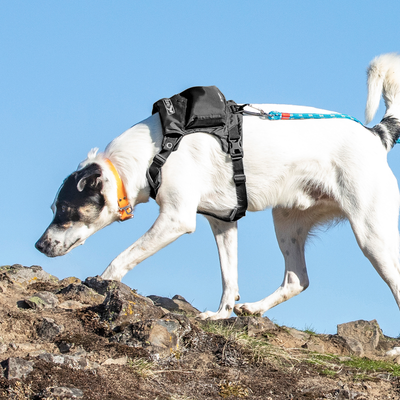 Kurgo Stash n' Dash Harness For Dogs