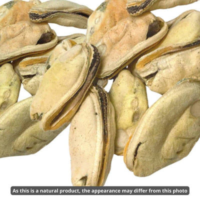 Meaty Treaty Freeze Dried Australian Green Lipped Mussels 50g