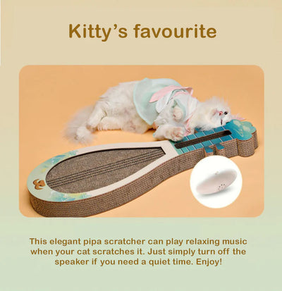 Cat Joy Chinese lute Pipa Musical Instrument Cat Scratching with Music