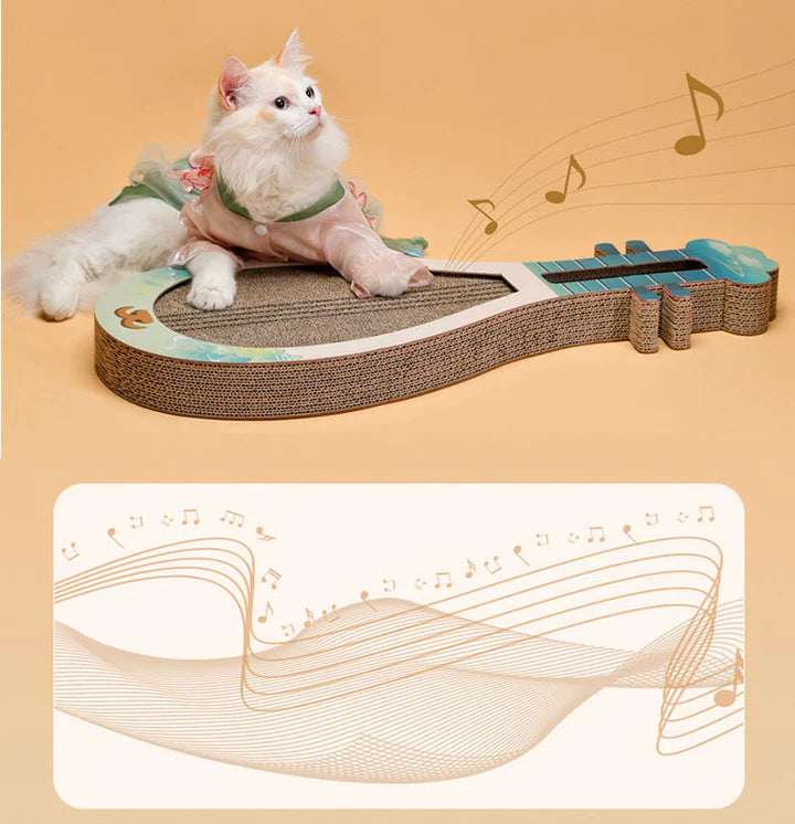 Cat Joy Chinese lute Pipa Musical Instrument Cat Scratching with Music