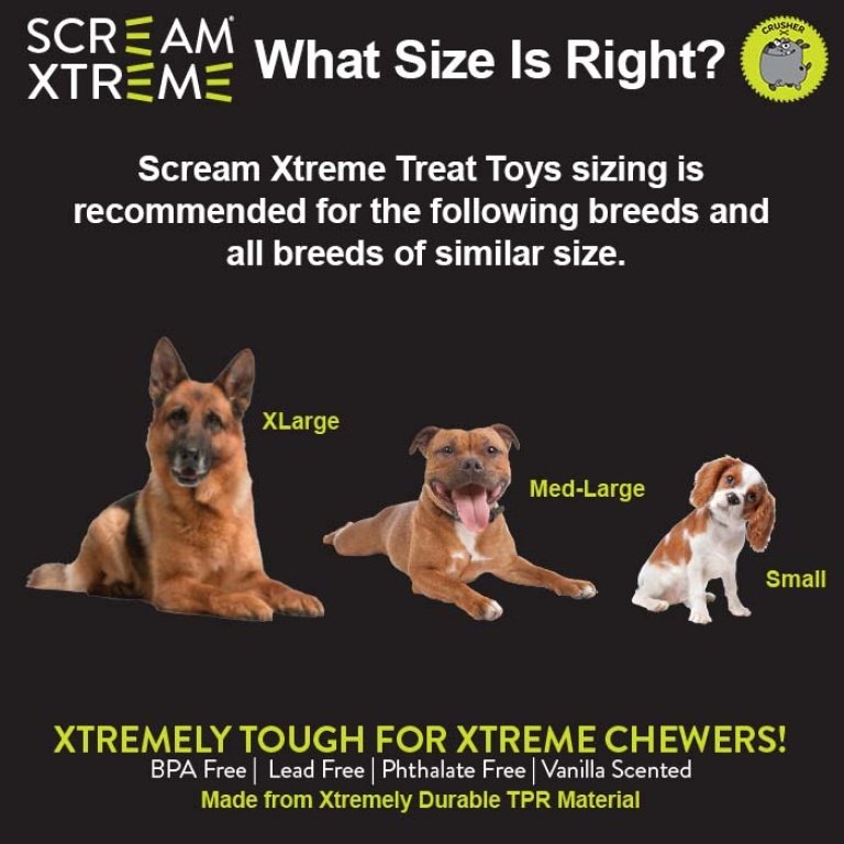 Scream Xtreme Treat Tyre Dog Toy - Loud Green