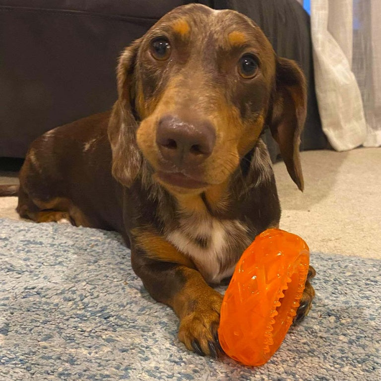 Scream Xtreme Treat Tyre Dog Toy - Loud Orange