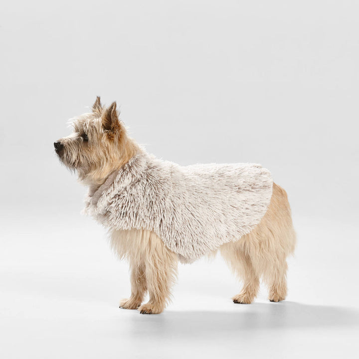Snooza Wear Shag Faux Fur Dog Coat in Mink