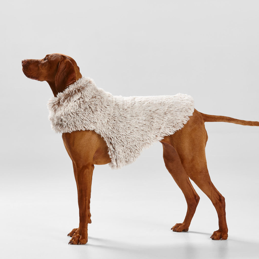 Snooza Wear Shag Faux Fur Dog Coat in Mink