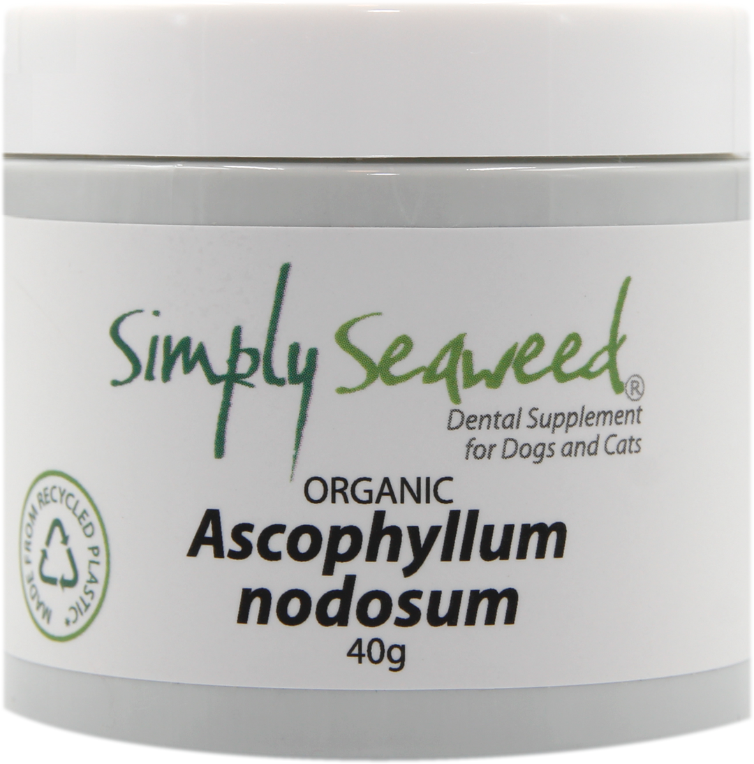 Simply-Seaweed-Organic-Pet-Deantal