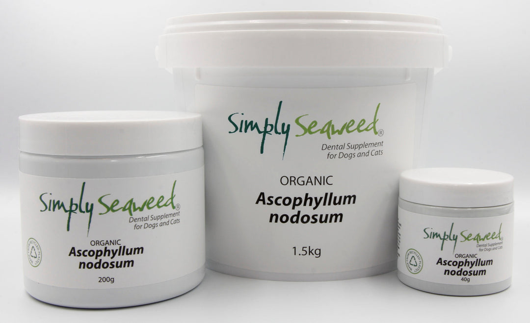Simply-Seaweed-Organic-Pet-Deantal