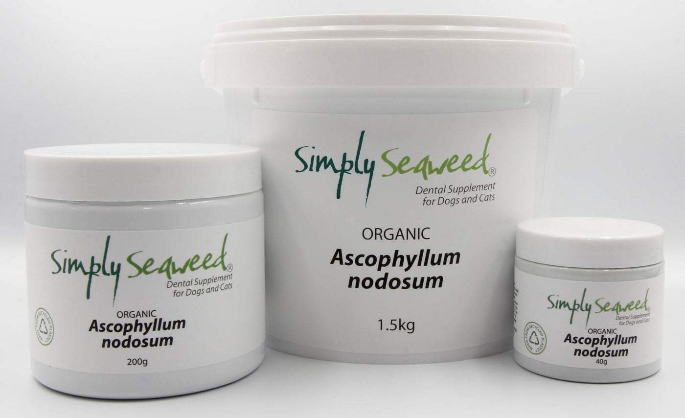 Simply-Seaweed-Organic-Pet-Deantal