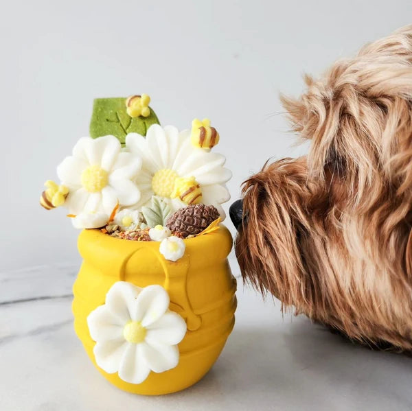 SodaPup Honey Pot Durable PUP-X Treat Dispenser & Enrichment Toy -- Yellow New