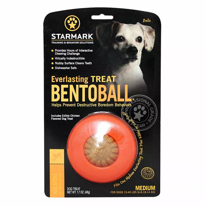 Starmark Everlasting Bento Ball Dog Chew & Interactive Toy