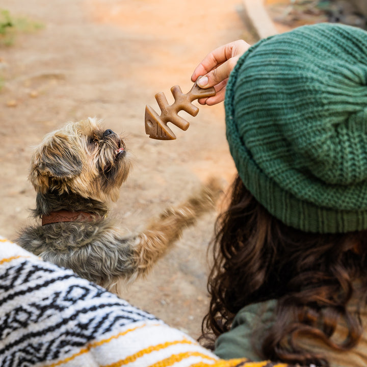Benebone Jack Salmon Fishbone Dental Chew Dog Toy