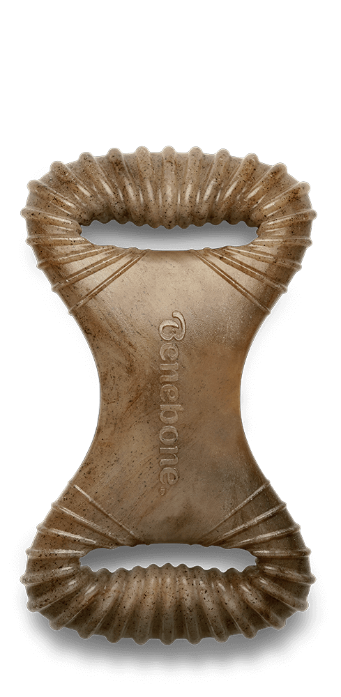 Benebone Bacon Dental Chew Dog Toy