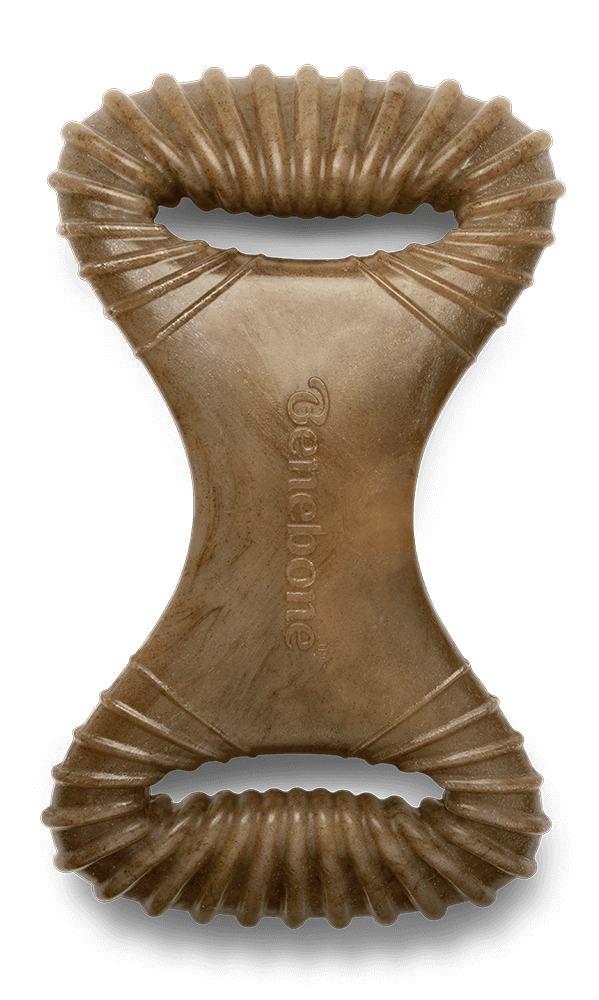 Benebone Bacon Dental Chew Dog Toy