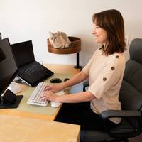 Desk Nest Cat Bed The Purrfect Cat Bed for Your Desk Up to 11.3kg