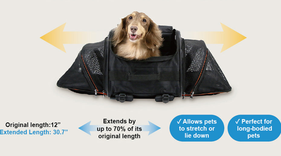 Ibiyaya JetPaw 3-in-One Pet Stroller with Removable Airline-Approved Carrier Up to 7kg