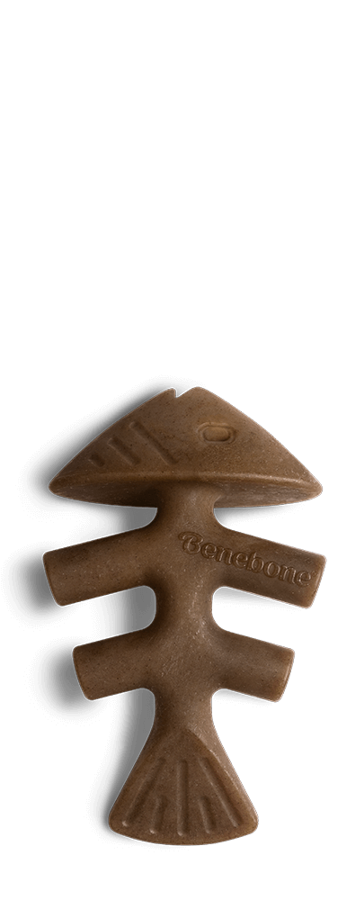 Benebone Jack Salmon Fishbone Dental Chew Dog Toy