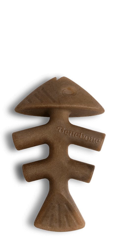 Benebone Jack Salmon Fishbone Dental Chew Dog Toy