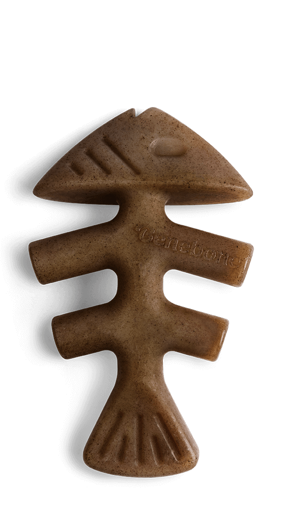Benebone Jack Salmon Fishbone Dental Chew Dog Toy