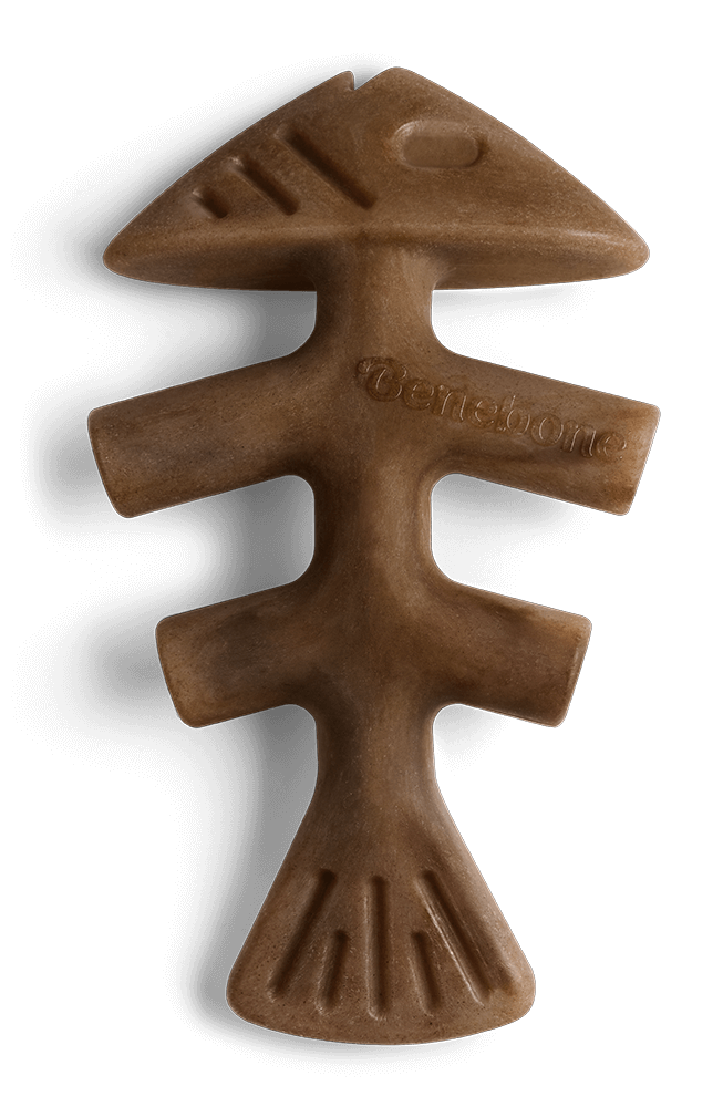 Benebone Jack Salmon Fishbone Dental Chew Dog Toy
