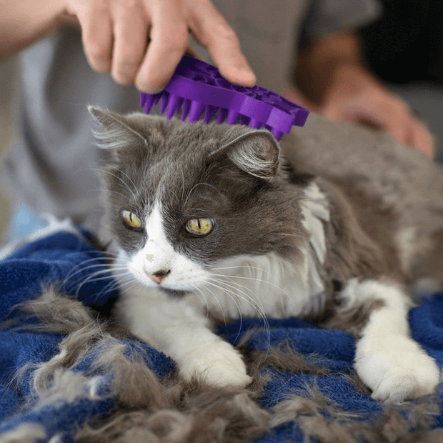 KONG ZoomGroom Brush For Cat