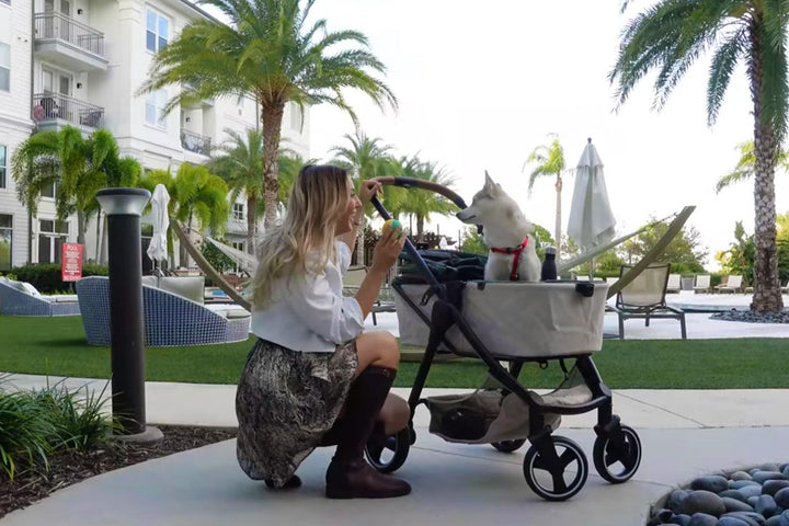 Ibiyaya Retro Luxe Folding Pet Stroller for Pets up to 30kg - Soft Sage