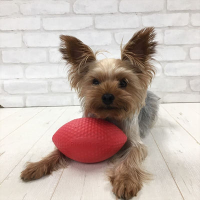 PitchDog Sportball - Durable Dog Toy