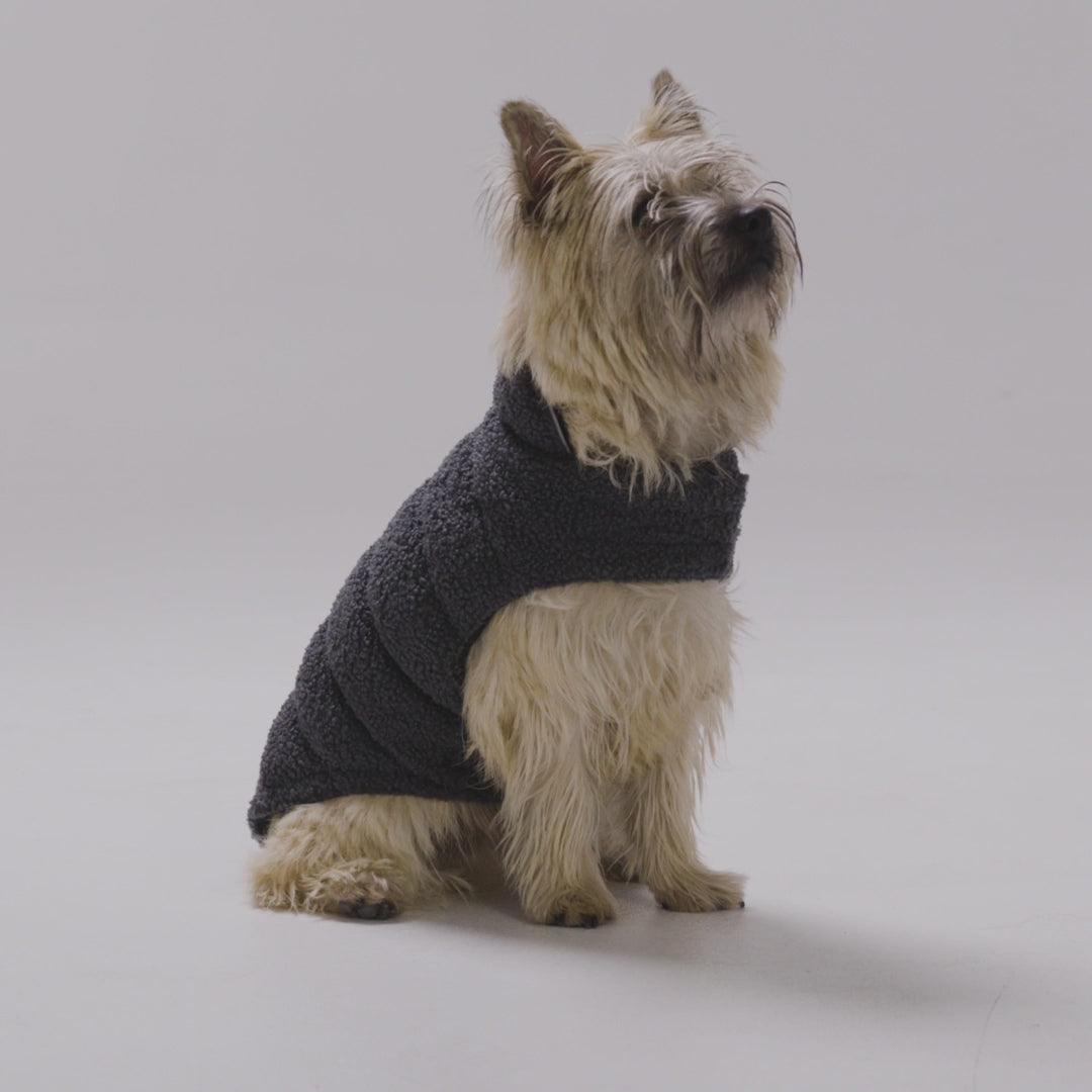 Snooza Wear Boucle Teddy Puffer Jacket Perfect For Cool Weather -- Charcoal