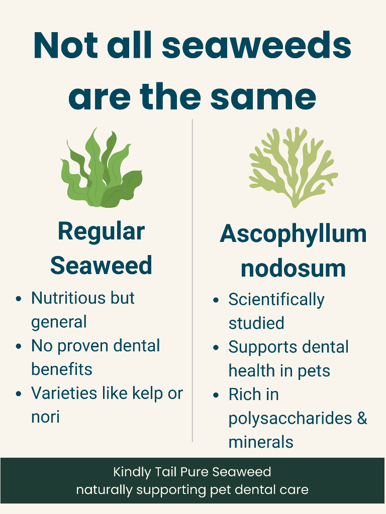 Kindly Tail Pure Organic Seaweed Dental Health Care for Dog and Cat 200g