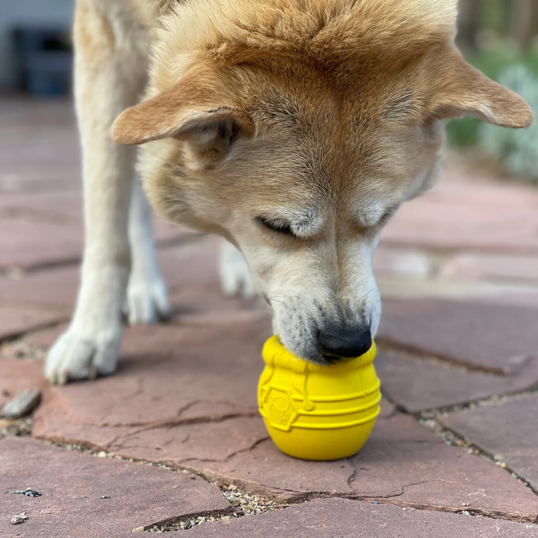 SodaPup Honey Pot Treat Dispenser & Enrichment Toy -- Yellow