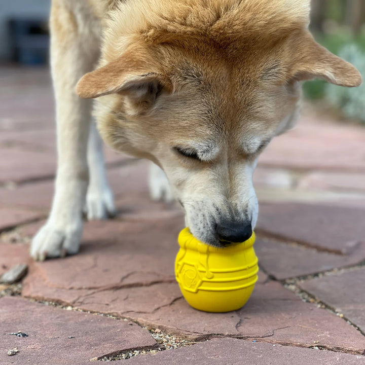 SodaPup Honey Pot Treat Dispenser & Enrichment Toy -- Yellow