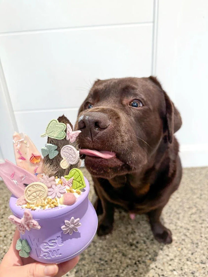 West Paw Toppl Treat Dispensing Dog Toy --  Lavender