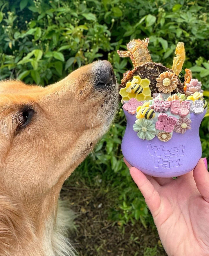 West Paw Toppl Treat Dispensing Dog Toy --  Lavender
