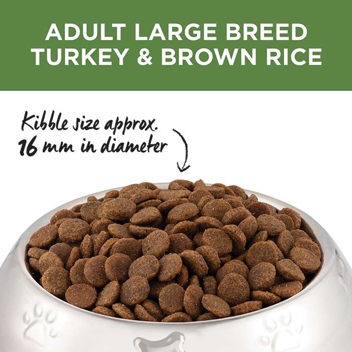 Ivory Coat Healthy Gut Large Breed Turkey & Brown Rice Adult Dog Food - Muddy Paw Shop