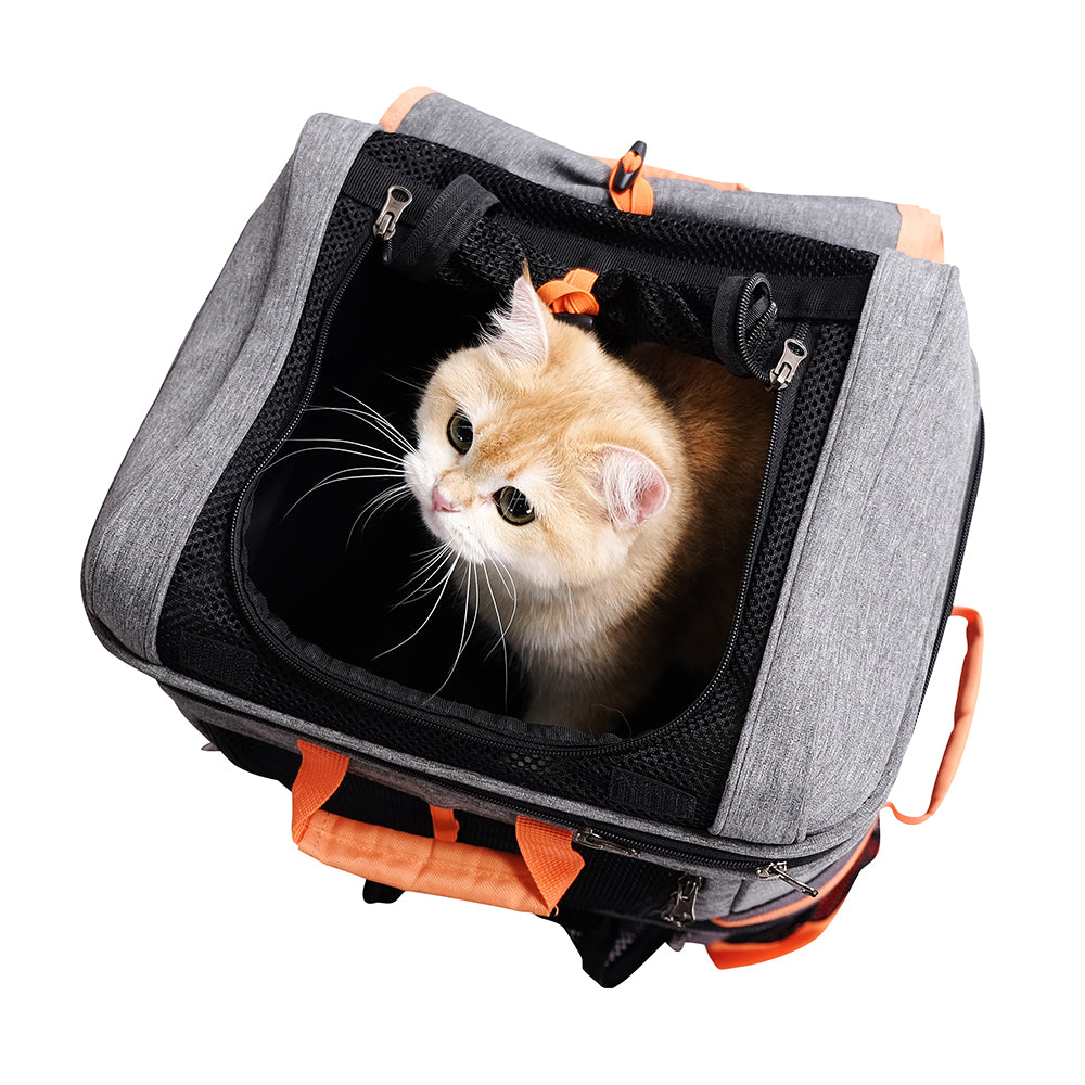 Ibiyaya Two-tier Pet Backpack Up to 12kg