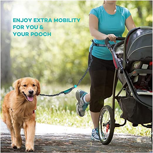 Dog Running Leash with Bungee Waist Belt, Retractable, Dual handle