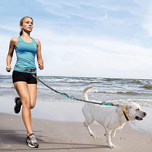 Dog Running Leash with Bungee Waist Belt, Retractable, Dual handle