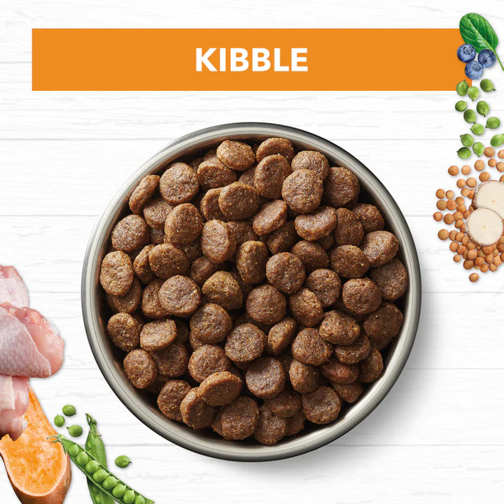 Ivory Coat Grain Free Chicken Adult Dog Food