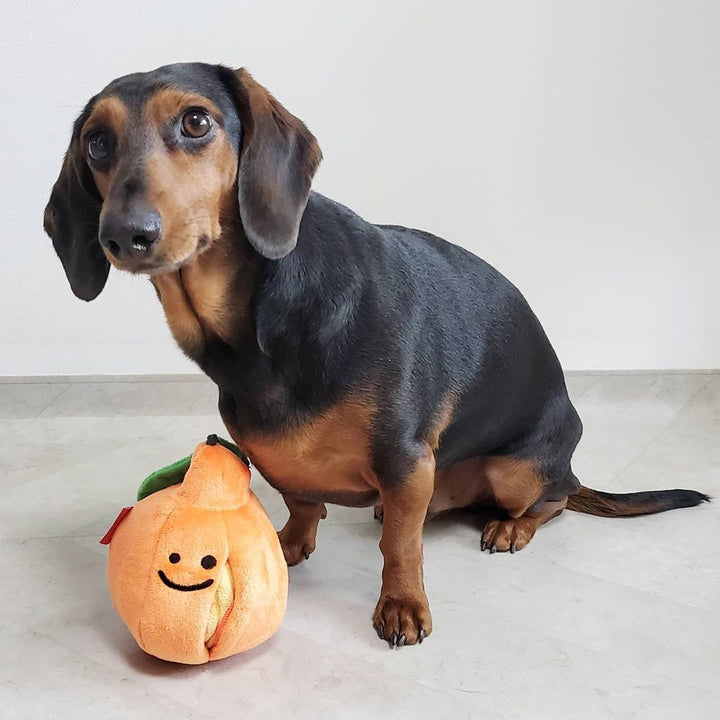 Boredom Buster Pet The Orange Sniff and Seek Interactive Toy for Dogs