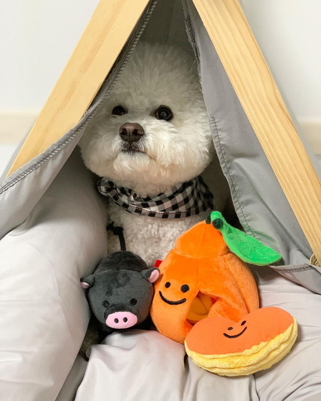 Boredom Buster Pet The Orange Sniff and Seek Interactive Toy for Dogs