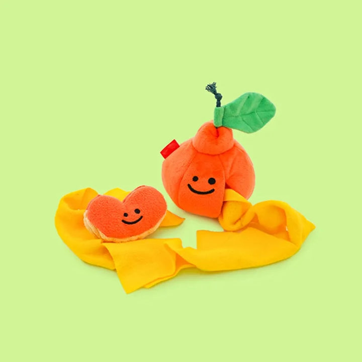 Boredom Buster Pet The Orange Sniff and Seek Interactive Toy for Dogs