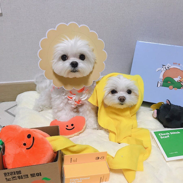 Boredom Buster Pet The Orange Sniff and Seek Interactive Toy for Dogs