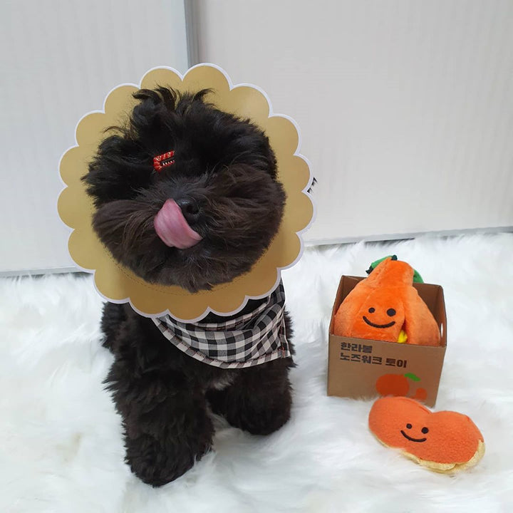 Boredom Buster Pet The Orange Sniff and Seek Interactive Toy for Dogs