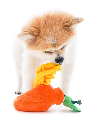 Boredom Buster Pet The Orange Sniff and Seek Interactive Toy for Dogs