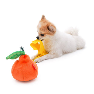 Boredom Buster Pet The Orange Sniff and Seek Interactive Toy for Dogs