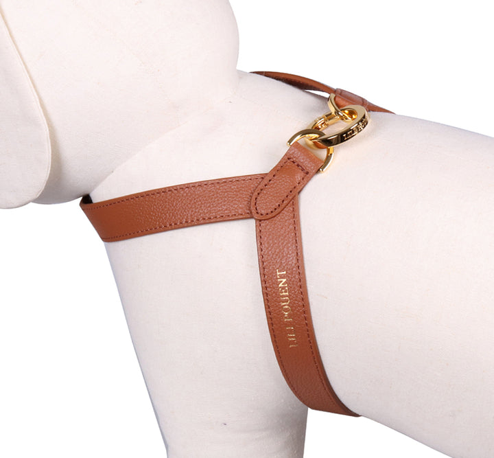Lili Pouent Korea Camel Reversible Leather VV Harenss For Pets