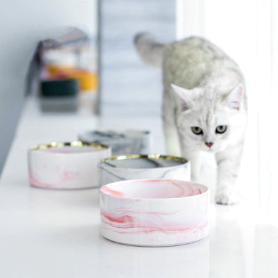 Ceramic Marble Bowl for Dog and Cat With Bamboo Stand