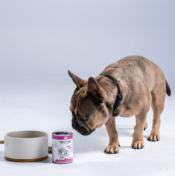 Nectar of the Dogs Skin + Coat Powder for Dogs 150g