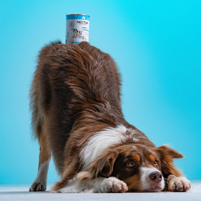Nectar of the Dogs Joint + Longevity Powder for Dogs 150g