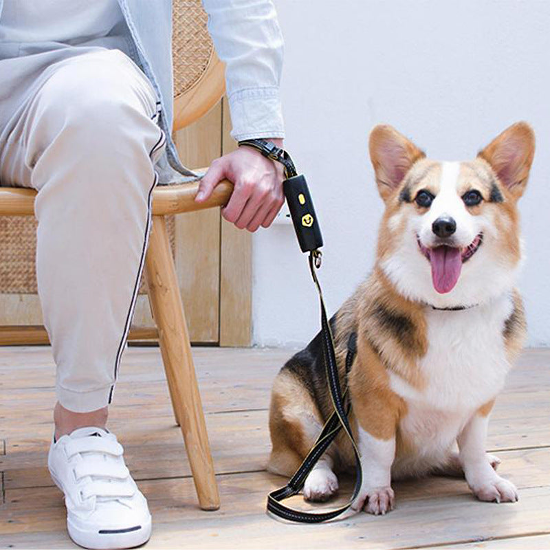 Hands Free Dog Leash For Dogs Up to 30Kg